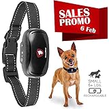 GoodBoy Mini Vibrationshalsband für kleine Hunde - wiederaufladbar und wasserdicht Kontrolle von übermäßigen Bellen mit diesem einfachen und effektiven Antibell Halsband für kleine und mittlere Hunde ab 2,5kg und 12cm-48cm Halsumfang Sicher und human ohne Shock
