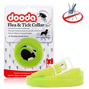 PROZADA Collares Antiparasitario para Perros, Mata Las Garrapatas y Las Pulgas de Manera Efectiva, Impermeable, Collar de Garra Ajustable Perros Pequeños, Medianos y Grandes(60cm) (Green)