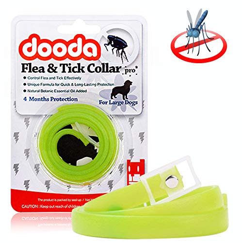 PROZADA Collares Antiparasitario para Perros, Mata Las Garrapatas y Las Pulgas de Manera Efectiva, Impermeable, Collar de Garra Ajustable Perros Pequeños, Medianos y Grandes(60cm) (Green)