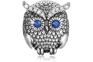 Annmors Charm Diplôme pour Femme Argent Sterling 925 Breloque Bracelets Colliers Pendentifs