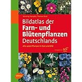 Bildatlas der Farn- und Blütenpflanzen Deutschlands: Alle 4200 Pflanzen in Text und Bild