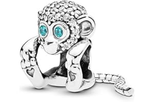 HappyStar Bead Charms para Charms Pulsera Collar Joyería Europea, Bead Charms para Mujer, Colgante Plata de Ley 925