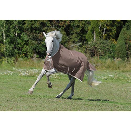 Preisvergleich Produktbild Bucas Euroriding Turnout LIGHT - mocca (155 cm)