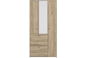 fanmuebles Mueble Recibidor Málaga con Espejo, Zapatero y Armario | Roble Gris | Capacidad 12 Pares | 6 Estantes | 3 Puertas + 2 Abatibles | 88,5x188,5x33,5 cm