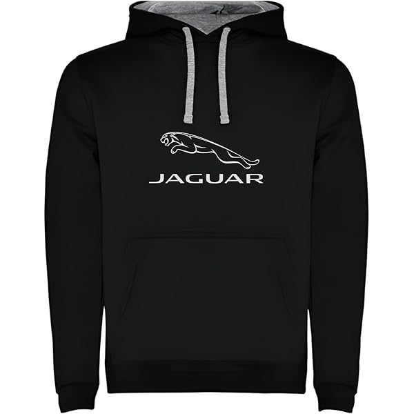 Sweatshirt Classique Aston Martin Logo Noir Homme - Coton Polyester Doux