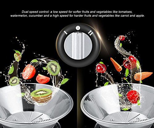 Easehold Elektrischer edelstahl Entsafter mit 400W – Intertek/GS geprüft Stainless Steel Juice Extractor Fruit Vegetable Juicer 2 Speed - 4