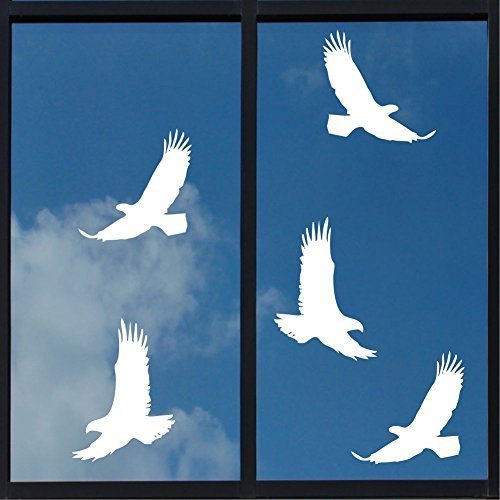 Hochwertiges Aufkleber Set "5 x Greifvogel weiss ca. 20 cm Aufkleber aus Hochleistungsfolie Vogelschutz Schutz für Scheiben, Wintergarten , Türen Vogel Aufkleber " von Pegatina Promotion® Aufkleber mit Verklebehilfe von Pegatina Promotion®