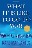 Cover zum Buch What It Is Like to Go to War