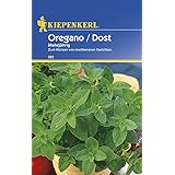 Kiepenkerl Oregano Stauden-Dost mehrjährig