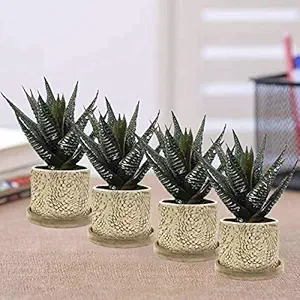 Lasaki Oxygen Big Marry Gold Ceramic Pots with Wooden Stand Plate for Indoor Plants Planters Flower pots Outdoor Succulent Pot(wp6) Set of 4