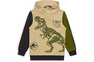 Jurassic World Sweat à capuche pour garçon motif dinosaure officiel T-Rex, 100 % coton, vêtements pour enfants de 4 à 5 à 9 à 10 ans