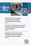 Image de Guidelines for the Ecolabelling of Fish and Fishery Products from Marine Capture Fisheries: Revision 1