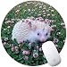 Produktbild SOONSOP Gaming Runde Mauspad 200mmx3mm Schreibtischunterlage Anti Rutsch Matte für Computer, PC und Laptop - Hedgehog In der Blumenwiese