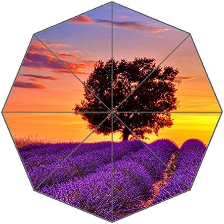 Travel Umbralla-Windproof Compact Umbrellas Portable Folding with Reinforced Frame, 8 Ribs &amp; 3-Section Aluminium,Custom Waterproof Fabric Rain and Sun Umbrella for Men and Women,Lavender