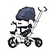 Produktbild LVZAIXI 4-in-1 Kinder Dreirad, hohe Qualität Trolley Fahrrad Kinder Push Trikes für Baby 3 Rad Bike mit Elternteil Griff und Anti-UV-Markise ( Farbe : Blau )