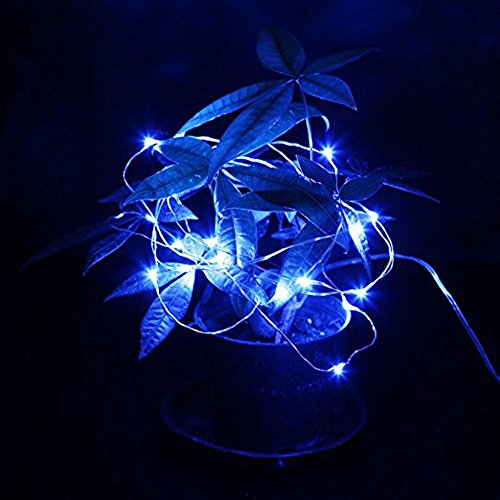 Girlanden Lichterkette wasserdicht Kupfer Draht 2 m 20-leds Kette Power Dekoration Weihnachten Hochzeit Geburtstag – Blau - 2