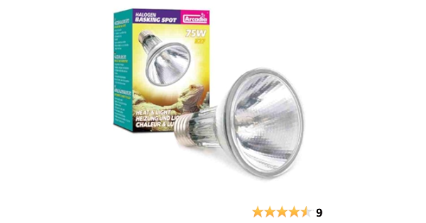 75w basking bulb