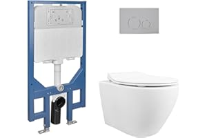 DEER VALLEY Toilette Murale WC Suspendu en Céramique Pack DeerValley Toilette Suspendu DV-1F0069-CF WC Mural avec Abattant à Fermeture Douce 1.1 GPF/1,6 GPF Double Chasse d'eau,Wc Suspendu Pack Complet