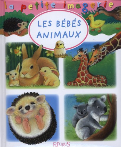 couverture de : Les b&eacute;b&eacute;s animaux