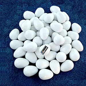 PAGONA - Fake Pigeon Eggs for Hatch Incubation Breeding Solid Small (Pack of 2)