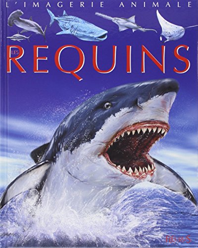 <a href="/node/21183">Les requins</a>