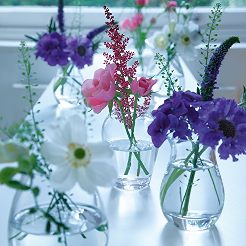 LSA International 9,5 cm Flower Mini Blumenvase, transparent - 6
