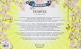 Image de Le Coffret : Le guide pratique du pendule