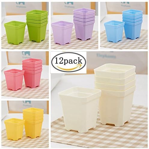 12PCS Small Thicken Colorful Square Plastic Plant Pot, Planter, Flower Pot with Pallet Tray Saucer for Home Office Decoration (12)