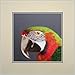 Produktbild King Silk Art 100% Handgefertigt Stickerei mehrere ungerahmt 30 x 30 cm Grün Parrot Oriental Wand hängende Dekoration Art asiatischen Tapisserie Artwork Bild Geschenke 31064u, Off White Mat No Frame 31102W, OffWhite