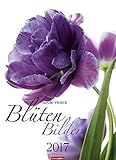 Image de Blütenbilder - Kalender 2017