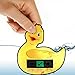 Duck Baby Bath Thermometer Card