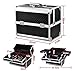 Popamazing Aluminium Beauty Cosmetic Vanity Case Box for Pro Make Up/Nail Art/Travel/Storage (Black) (31.5 x 21.5 x 27cm, Black)