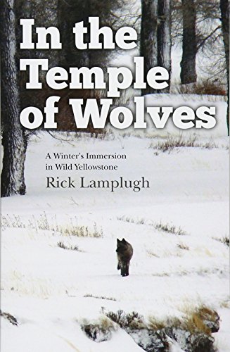 Télécharger In the Temple of Wolves: A Winter's Immersion in Wild Yellowstone Livre PDF Gratuit