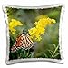 Produktbild Monarch, Danaus plexippus, on Goldenrod, Solidago, Marion Co. IL - 16x16 inch Pillow Case