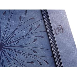 Oxford So Chic Agenda Scolaire Journalier 2018-2019 1 Jour par Page 352 Pages 12 x 18 cm Bleu Roses