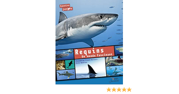 Amazon Fr Requins Un Monde Fascinant Civard Racinais Alexandrine Beneteau Alain Livres