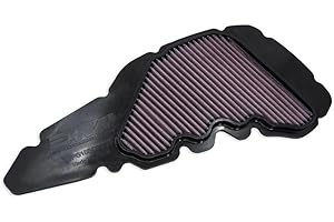 DNA High Performance Filters DNA Filtro de aire de alto rendimiento compatible para Aprilia SR GT 125 (21-24) PN: P-PG15SC23-01