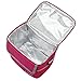 Moin®Protable Insulated Water-Proof Lining Lunch Box Bag Cooler Tote Travel Picnic Bag 22.5*16.5*20.5cm Candy Color Rose