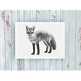 Kunstdruck / Poster FOX & FOREST black & white -ungerahmt- Fuchs, Bäume, Wald, Portrait, skandinavisch, Tier, Tannen