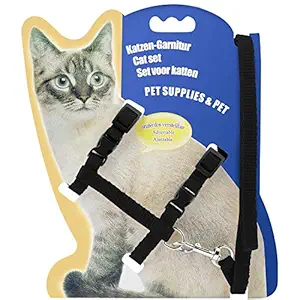 PSK PET MART Cat and Small Pet Nylon Strap Collar with Adjustable Walking Harness Leash (Color May Very)