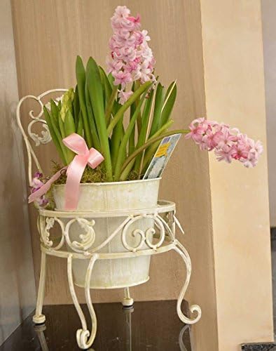 Victorian Flower Plant Stand Planter Display Flowerpot Flowerbed Metal Retro