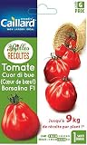 tomate hibrido drd 8551  Caillard PFCC16039 - F1 híbrido de Tomate Cherry perlin