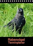 Rabenvögel Terminplaner (Tischkalender 2018 DIN A5 hoch): Eindrucksvolle Wildvögel (Planer, 14 Seiten ) (CALVENDO Tiere) [Kalender] [Apr 01, 2017] Kattobello, k.A. by 
