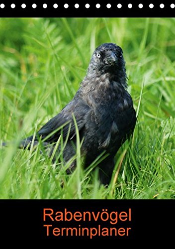 Rabenvögel Terminplaner (Tischkalender 2018 DIN A5 hoch): Eindrucksvolle Wildvögel (Planer, 14 Seiten ) (CALVENDO Tiere) [Kalender] [Apr 01, 2017] Kattobello, k.A.