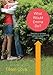 What Would Emma Do? (English Edition) by Eileen Cook