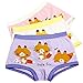 Set of Three Cute Briefs Kids Cotton Underwears Girls Underwears(Little Fox)