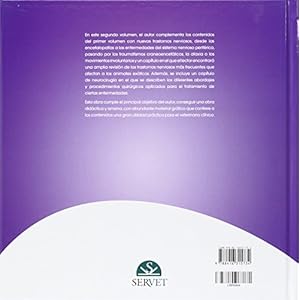 Manual práctico de neurología. Un paso más para el diagnóstico y tratamiento (Vol. 2)