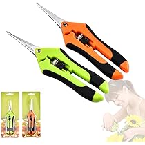 Setaccio In Legno Massello Per Farina E Cereali | Diametro 24cm | Rete Acciaio 1x1mm - Foto 2