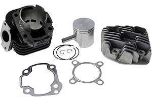 DR. HESSEL'S KT00087 GRUPPO TERMICO DR EVO 70CC D.47 MALAGUTI F10 WAP 50 2T euro 2 (QJ*CMA03C*) SP.10 GHISA