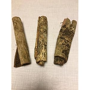 Seemandelbaumrinde-Rollen 3 Stück (2-4cm Durchmesser ca.12 cm lang) Welshöhle original A-Markenware von Catappa-Leaves - BLITZVERSAND - Catappa Bark